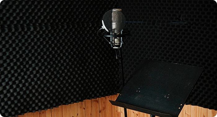 The In Tune Audio studio mic